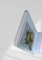 草の中のピアノ