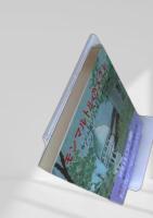 モンマルトルのメグレ