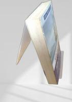 反逆の南太平洋