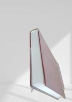 チョムスキー小事典