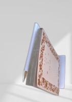 緋文字 岩波文庫