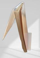 ドルジェル伯の舞踏会