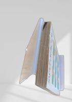 クリスチィ短編全集2