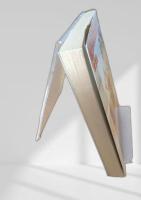 もう一人の力道山