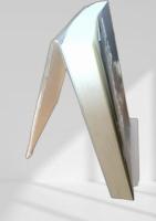 自伝 大木金太郎