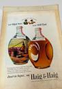 Haig & Haig Scotch Whisky Advertisement
