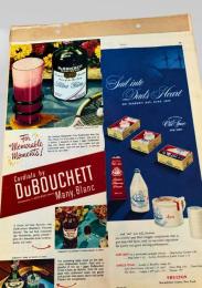 DuBouchet Sloe Gin Advertisement