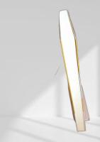 老化は副腎で止められた