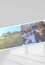 ユーカラの里・クマ牧場 観光券