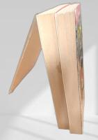 ファントム  上下