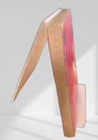 戦士は革命に生きる