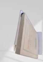 デストロイヤー／死のチェック・メイト