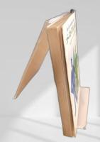 ゴースト・タウンの謎