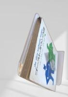 ゴースト・タウンの謎