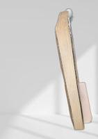 ソマリア人質奪回作戦