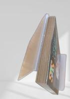 ソマリア人質奪回作戦