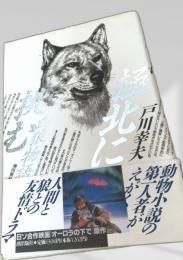 極北に挑む 白狼物語
