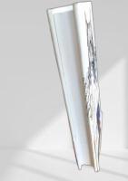 極北に挑む 白狼物語