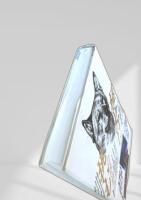 極北に挑む 白狼物語