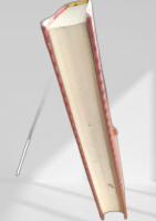 日本文学全集 6 徳富蘆花集