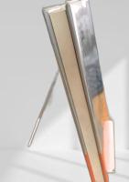 女弟子 中央公論社刊