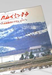 カムイミンタラ 1994年5月号 No.62