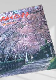 カムイミンタラ 1998年5月号 No.86