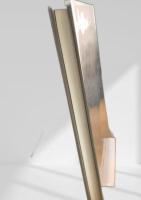 Aspects of Japanese Discourse Structure 日本語談話構造の諸相