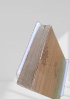 森と湖のまつり