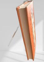 平塚らいてう 愛と反逆の青春