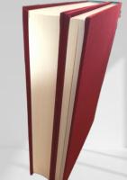 合板百年史 ― 合板100年 回顧と展望