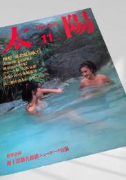 太陽 THE SUN 1986年11月号 No.284