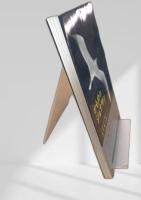 かもめのジョナサン