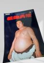 栃錦清隆 昭和の名横綱シリーズ3 別冊相撲