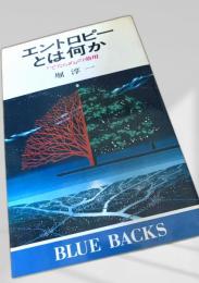 エントロピーとは何か