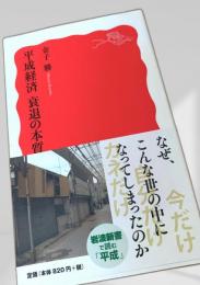 平成経済 衰退の本質