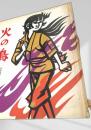 火の鳥 岩崎書店