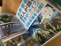 映画フライヤーまとめ（世界侵略：ロサンゼルス決戦／ライフ -いのちをつなぐ物語-／国際映画祭作品集 等）