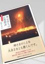 東京育ちの京都探訪
