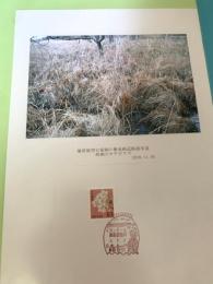 湿原展望台東側の簡易軌道跡遊歩道 西側のヤチボウズ（記念台紙・風景印）