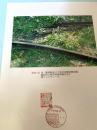 鶴居村営軌道 レール（記念台紙・風景印）