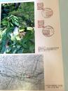 簡易軌道バス見学会鶴居標茶編 鶴居村中幌呂停留所跡付近に残っていたレール
