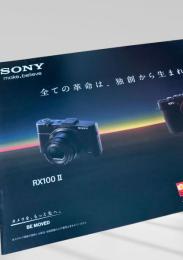RX100 II