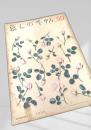 暮しの手帖 50号（summer 1959）