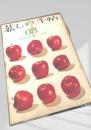 暮しの手帖 第63号