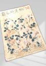 暮しの手帖 第50号