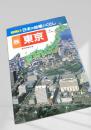 ジュニア版 日本の地域とくらし 6 東京
