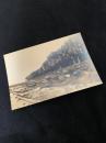 絵葉書（海岸・岩場風景）