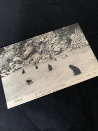 別府温泉絵葉書 THE BEAUTIFUL BEPPU SPA（地獄風景・岩場）