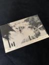 別府温泉絵葉書 THE BEAUTIFUL BEPPU SPA 血の池地獄
